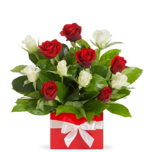 classic red & white rose box arrangement