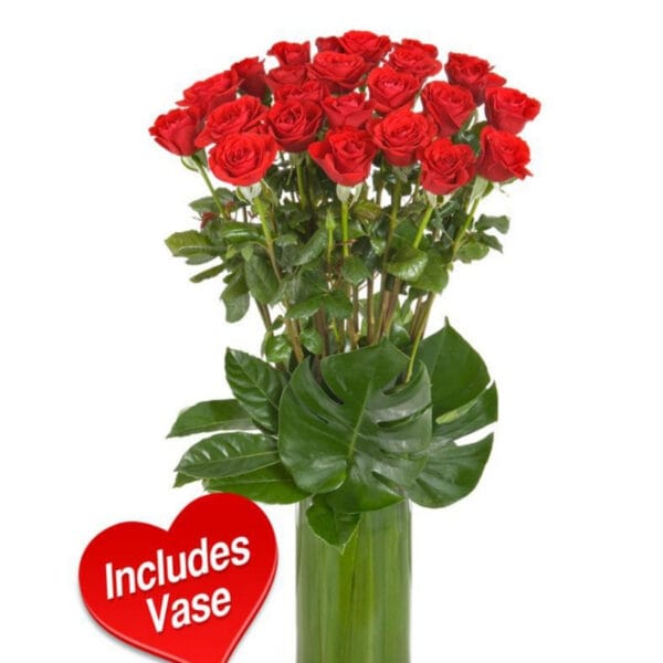 ultimate 24 red roses with vase