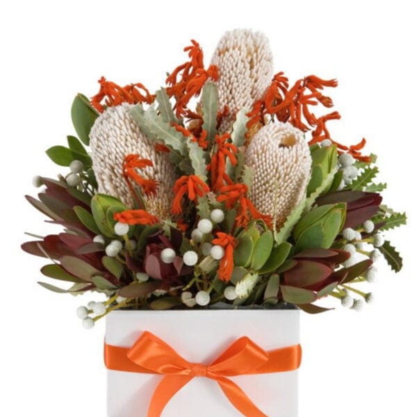 banksia native arrangement – australian wildflower box