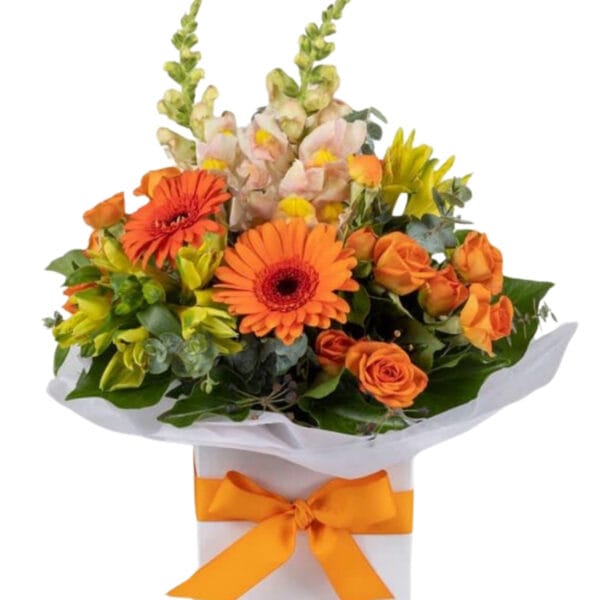 bright orange gerberas & roses box arrangement