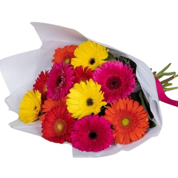 rainbow radiance gerbera bouquet