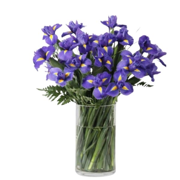 stunning purple iris vase