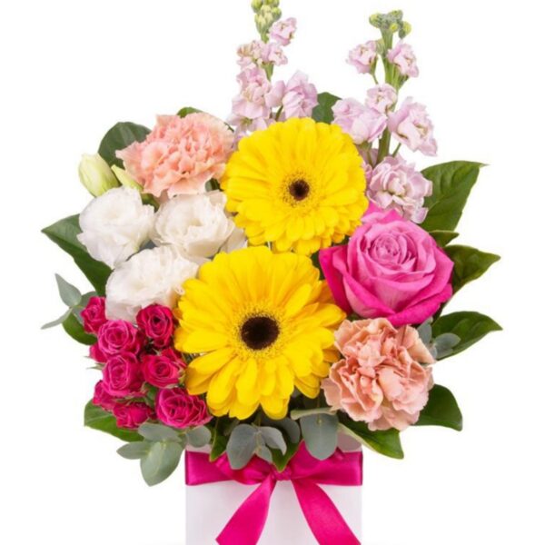 sunrise serenade box