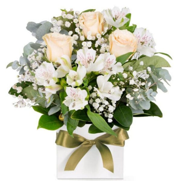elegant white & cream rose box arrangement – sympathy & classic gift