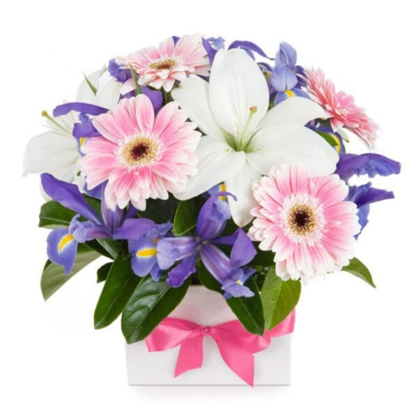 pastel gerbera & lily box arrangement – fresh seasonal blooms