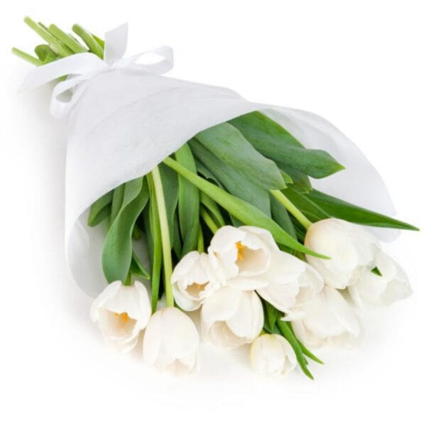 white tulip bouquet – classic & elegant blooms