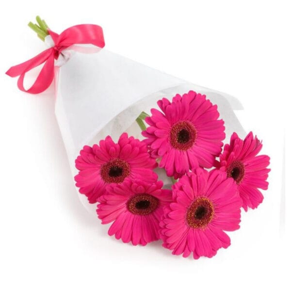 hot pink gerbera bouquet – bright & cheerful flowers