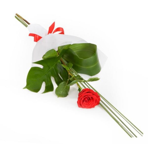 single red rose bouquet – classic romantic gift